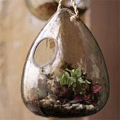 Recycled Glass Tear Drop Bird Feeder / Terrarium