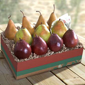 Organic Golden State Pears to Compare Ultimate Fruit Gift