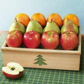 Muir Organic Fruitful Trio Fruit Gift