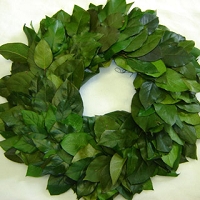 Wreath Salal Natural Green