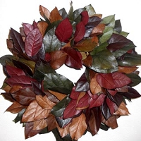 Wreath Salal Preserved Mixed Colors