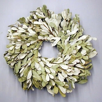 Integrefolia Wreath